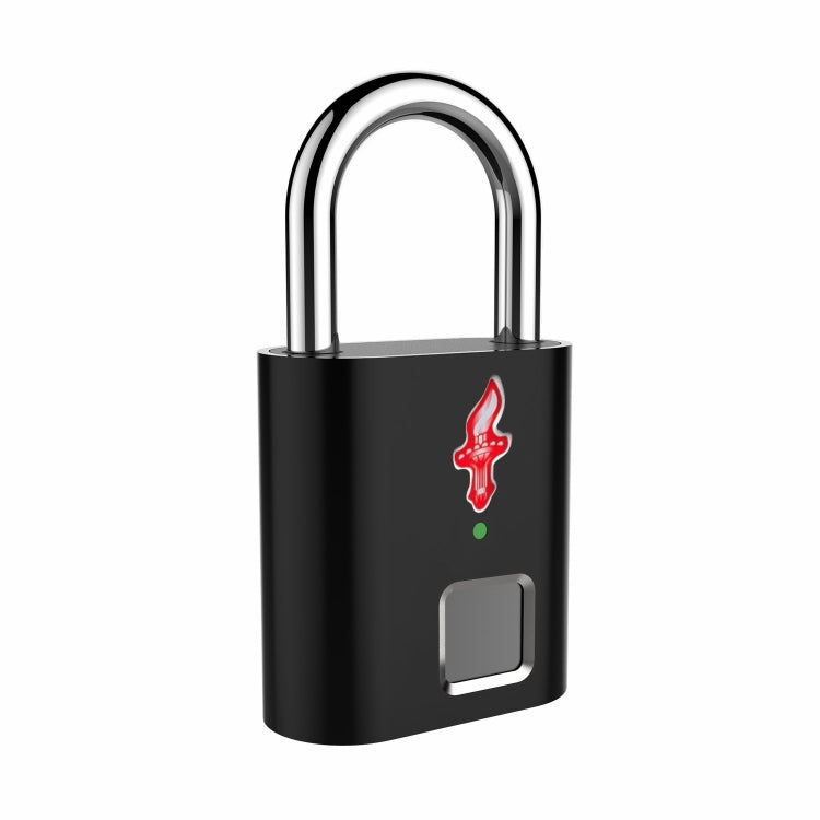 P16 5V Micro USB Charging Semiconductor Fingerprint Sensing TSA Padlock, P16