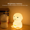 LED Colorful Silicone Sensor Night Light, Warm Light + Colorful