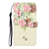 3D Colored Drawing Horizontal Flip Leather Case with Holder & Card Slot & Wallet