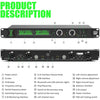 XTUGA RW2090 Professional Stage Wireless 2 Channel In Ear Monitoring System 2 in 1