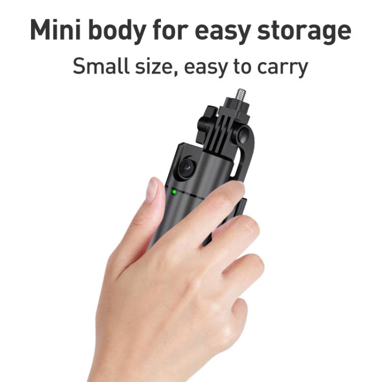 Bulky Mart