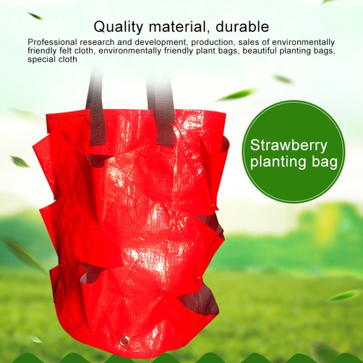Bulky Mart
