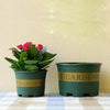 1 Gallon Flower Pots Plant Nursery Pots Plastic Pots Creative Gallons Pots with Tray, Size:17.5*16*16cm, Random Text Background Color Delivery, 17.5*16*16cm