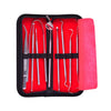 9 In 1 Stainless Steel Dentist Tools Set, 9 In 1