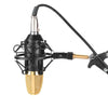 FIFINE F-700 Professional Condenser Sound Recording Microphone with Shock Mount for Studio Radio Broadcasting & Live Boardcast, 3.5mm Earphone Port, Cable Length: 2.5m