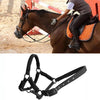 Horse Locator Set Animal Tracking Anti-lost Device GPS Positioning Collar Set, For Horse