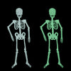 Luminous Skeleton Halloween Activity Props Bar Haunted House Decoration Supplies Fluorescent Skeleton, Small（35cm), Medium(90cm), Large(150cm)