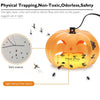 Household Flea Traps Drug-free Insect Trap Lamp, US Plug, EU Plug, AU Plug, UK Plug