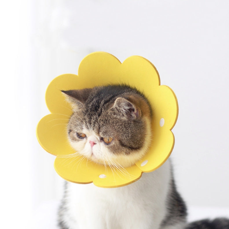 Pet EVA Sponge Lick-proof Sterilization Collar, Size:S 15-21cm(Yellow)