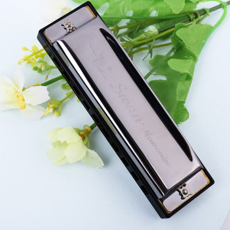 Swan 2 PCS 10 Holes Full-scale Bruce Harmonica Beginner Children