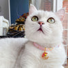Adjustable Cat Dog Rabbit Safety Buckle Collar Pet Accessories, S 17-32cm Moon, S 17-32cm Star