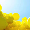 Bee Theme Party Decoration Supplies White Yellow Agate Confetti Latex Balloon Decoration Set, Bee Theme Party Decoration