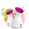 Hot And Cold Face Steamer Facial Moisturizing Spray Beauty Instrument CN Plug