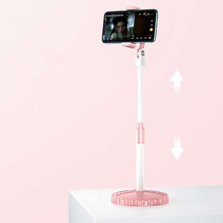 Multifunctional Lifting Colorful Live Bracket