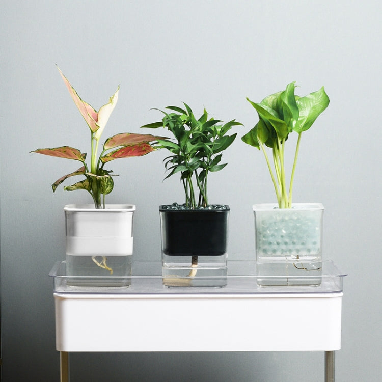 Hydroponic Transparent Visible Plastic Flower Pot, 10x10x11.3cm
