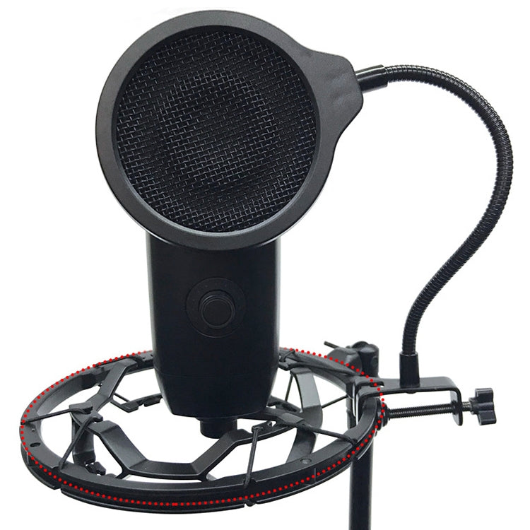 TEYUN PS-3 Microphone Live Recording Noise Reduction Blowout Cover