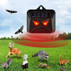 209A Solar High Frequency Flash Nocturnal Animal Repeller, 209A  1pc