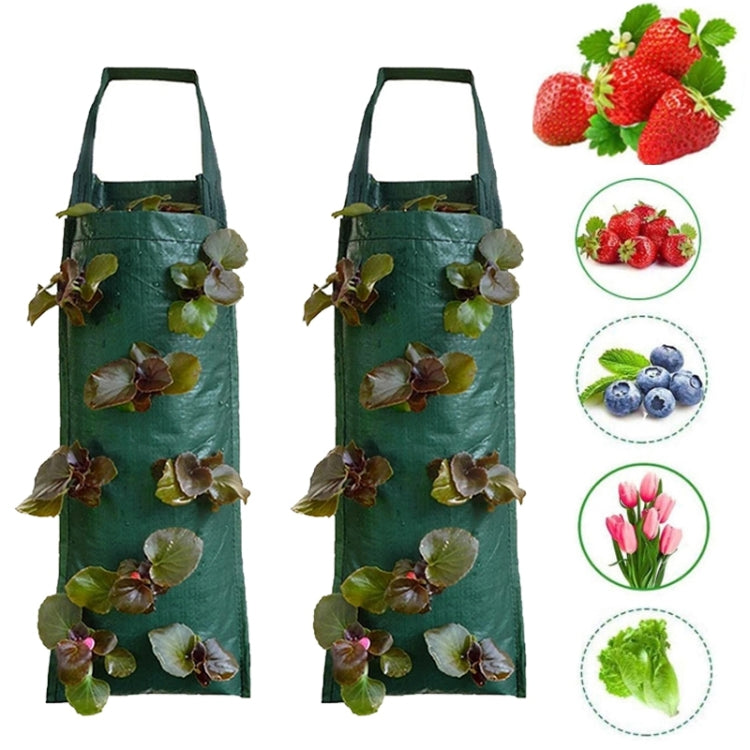 Multi-Port Grow Bags For Plant Strawberry Potato Hanging Planting Pots, Size: 10 Port, 4 Port, 6 Port, 8 Port, 10 Port