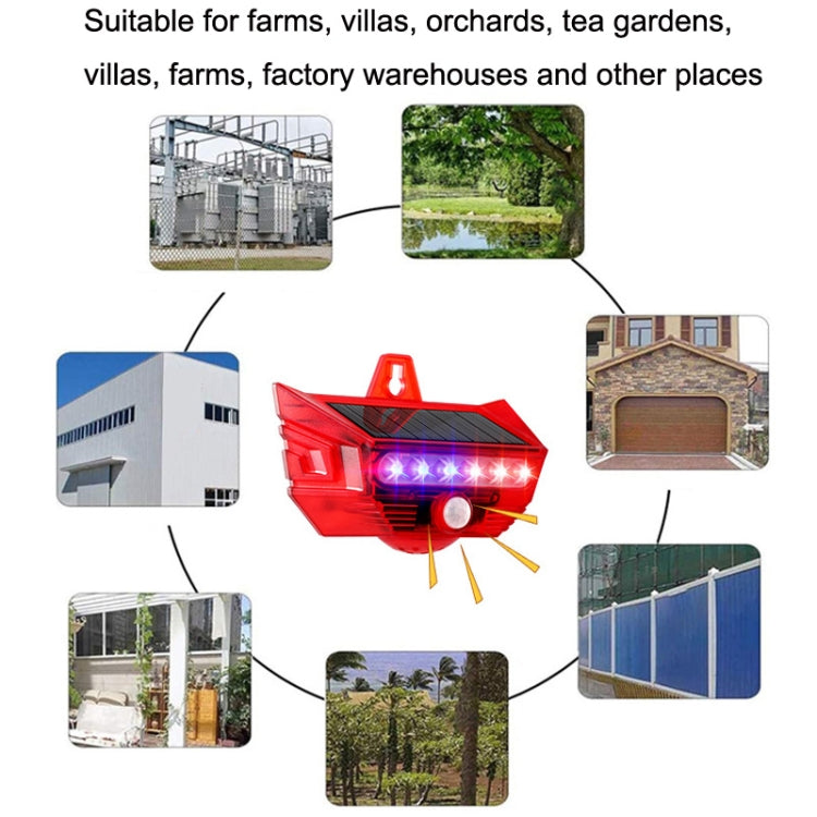 Bulky Mart