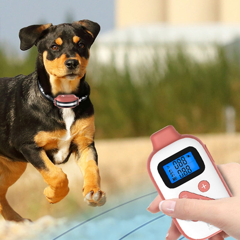 PaiPaitek PD523 1000m Remote Control Rechargeable Waterproof Dog Trainer