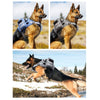 Dog Explosion-proof Chest Strap With Detachable Combination Backpack, S, M, L