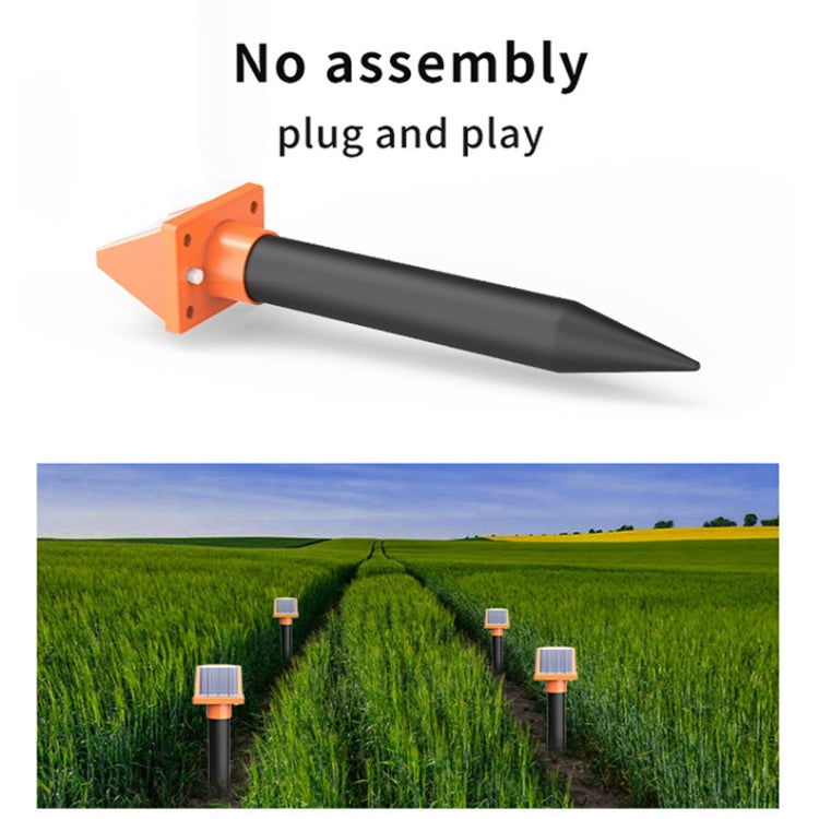 Bulky Mart