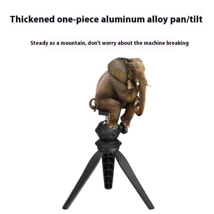 Bulky Mart